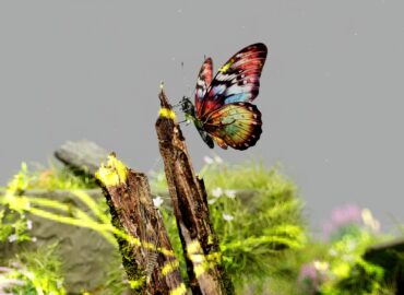 an artist s illustration of artificial intelligence ai this image depicts how ai could help understand ecosystems and identify species it was created by nidia dias as part of the visua